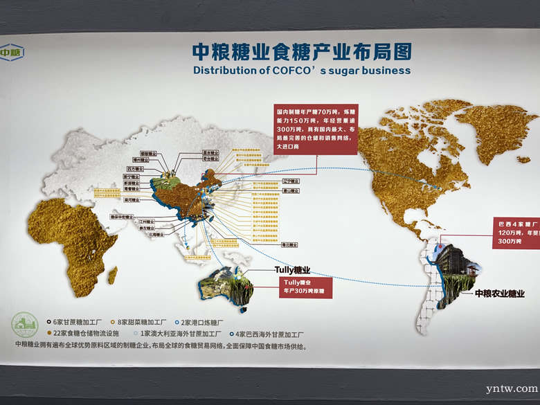 乐鱼体育登录-特色篮球项目“走出去”，推动产业国际化发展战略的简单介绍