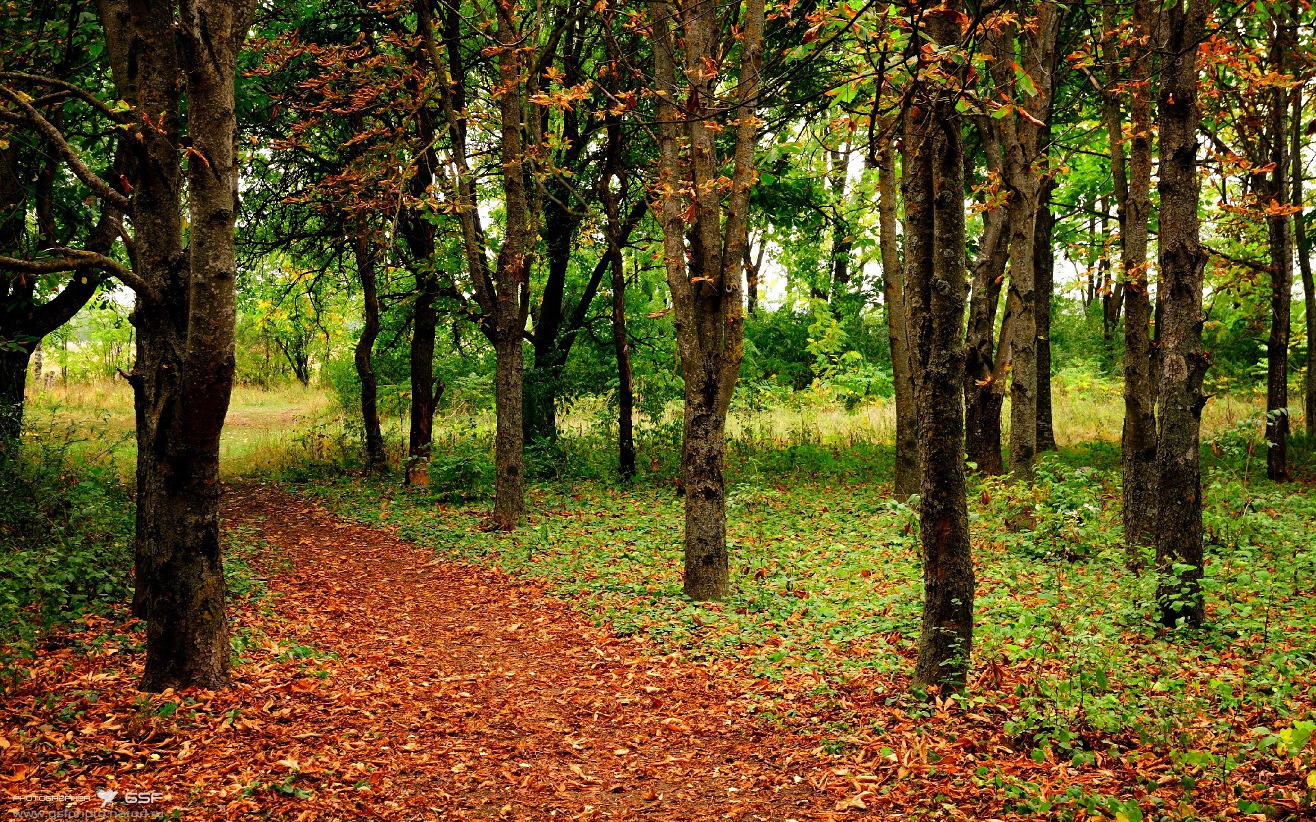 外援政策是否制约本土球员成长空间，外援新规