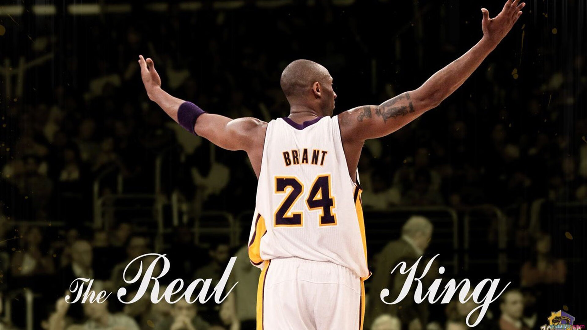 “青春献礼”青少年“篮球文化节”在厦门盛大举行，弘扬体育精神